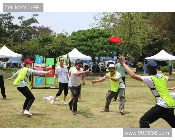 北京飞盘队飞盘意识创新高引领全国队伍崛起新篇章