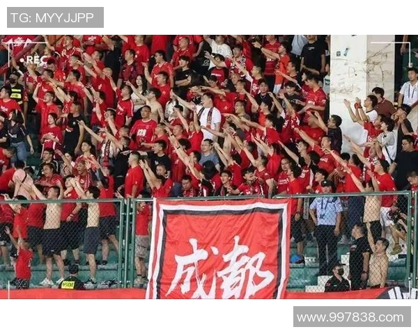 成都排球队速度之争引发热议球迷观点各异分析背后的战术与技术因素