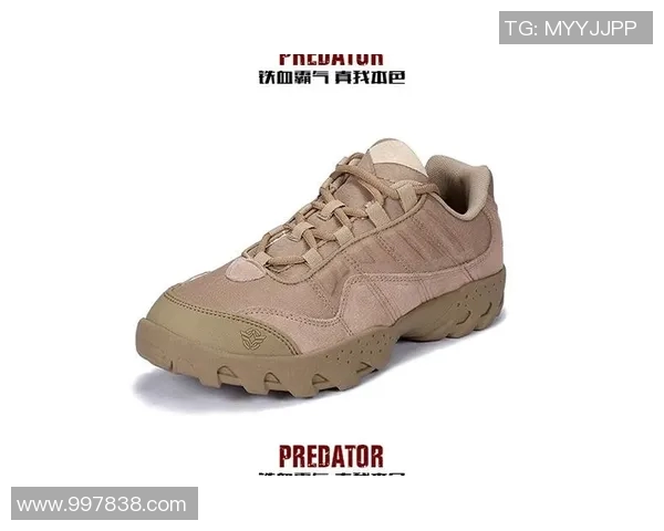 杭州攀岩队中路突破战术解析与实战应用研究