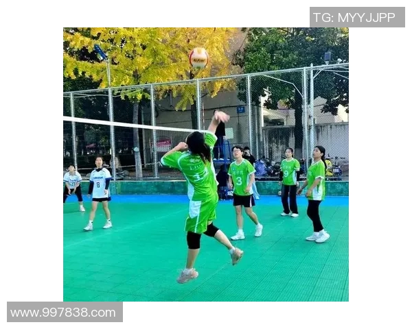 武汉排球队的耐力之道:揭秘排球巨献背后的坚持与拼搏精神