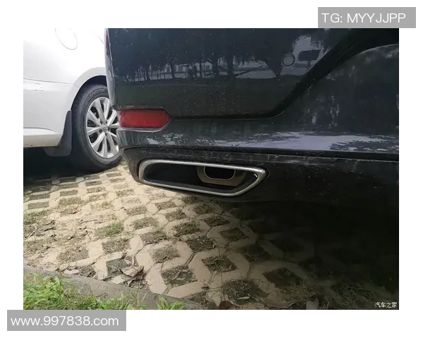 武汉飞盘队的盯防体系解析与战术运用探讨