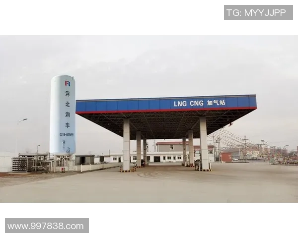 独家解析LNG行业团队协作模式的异同与发展趋势