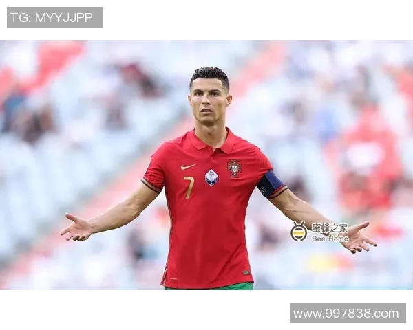 南安联与查尔顿激战正酣比赛结果揭晓引发热议