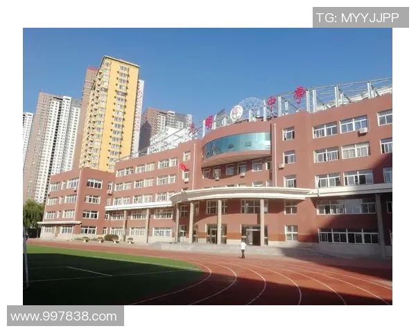 史鸿飞的奋斗历程与人生智慧探讨：从平凡到卓越的成长之路