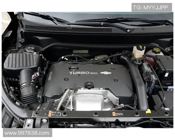 澳门战狼与香港东方激战正酣谁能在这场对决中笑到最后 澳门战狼与香港东方激战正酣谁能在这场对决中笑到最后