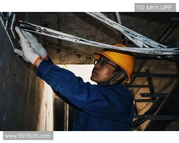 王少杰的奋斗历程与成长故事揭示了新时代青年的责任与担当 王少杰的奋斗历程与成长故事揭示了新时代青年的责任与担当