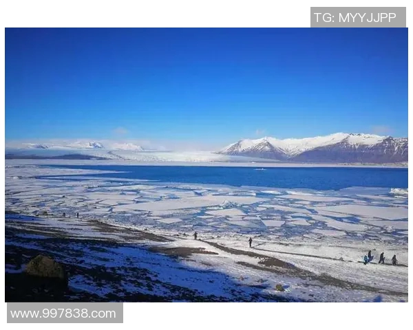 冰岛与芬兰展开激烈对决世预赛欧洲赛场精彩纷呈